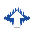 Ring Energy Inc. Share Price